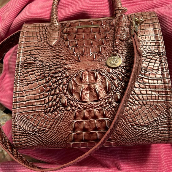 Brahmin - Picture 1 of 7